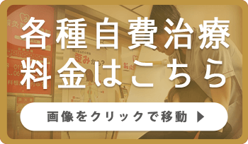 各種自費治療料金